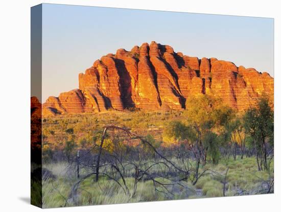 Domes, Bungle Bungle, Purnululu National Park, Kimberley, Western Australia, Australia, Pacific-Schlenker Jochen-Stretched Canvas