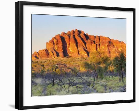 Domes, Bungle Bungle, Purnululu National Park, Kimberley, Western Australia, Australia, Pacific-Schlenker Jochen-Framed Photographic Print