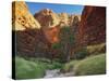 Domes, Bungle Bungle, Purnululu National Park, Kimberley, Western Australia, Australia, Pacific-Jochen Schlenker-Stretched Canvas