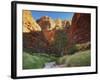 Domes, Bungle Bungle, Purnululu National Park, Kimberley, Western Australia, Australia, Pacific-Jochen Schlenker-Framed Photographic Print