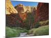 Domes, Bungle Bungle, Purnululu National Park, Kimberley, Western Australia, Australia, Pacific-Jochen Schlenker-Mounted Photographic Print