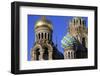 Domes. Church of our Saviour on Spilled Blood (Church of Resurrection)-Godong-Framed Photographic Print