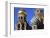 Domes. Church of our Saviour on Spilled Blood (Church of Resurrection)-Godong-Framed Photographic Print