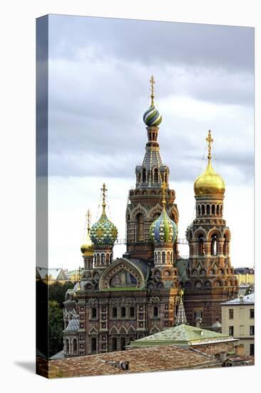 Domes of Church of the Saviour on Spilled Blood, St. Petersburg, Russia-Gavin Hellier-Stretched Canvas