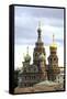 Domes of Church of the Saviour on Spilled Blood, St. Petersburg, Russia-Gavin Hellier-Framed Stretched Canvas