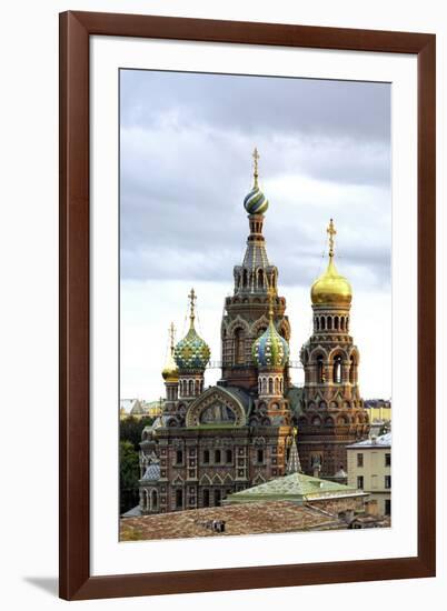 Domes of Church of the Saviour on Spilled Blood, St. Petersburg, Russia-Gavin Hellier-Framed Photographic Print