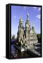 Domes of Church of the Saviour on Spilled Blood, St. Petersburg, Russia-Gavin Hellier-Framed Stretched Canvas