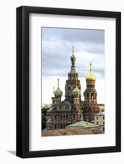 Domes of Church of the Saviour on Spilled Blood, St. Petersburg, Russia-Gavin Hellier-Framed Photographic Print