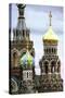 Domes of Church of the Saviour on Spilled Blood, UNESCO World Heritage Site, St. Petersburg, Russia-Gavin Hellier-Stretched Canvas