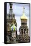 Domes of Church of the Saviour on Spilled Blood, UNESCO World Heritage Site, St. Petersburg, Russia-Gavin Hellier-Framed Stretched Canvas