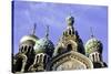 Domes of Church of the Saviour on Spilled Blood, UNESCO World Heritage Site, St. Petersburg, Russia-Gavin Hellier-Stretched Canvas