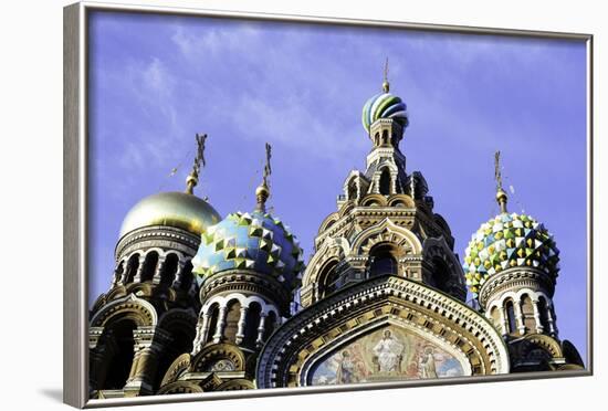 Domes of Church of the Saviour on Spilled Blood, UNESCO World Heritage Site, St. Petersburg, Russia-Gavin Hellier-Framed Photographic Print