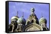 Domes of Church of the Saviour on Spilled Blood, UNESCO World Heritage Site, St. Petersburg, Russia-Gavin Hellier-Framed Stretched Canvas