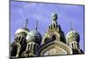 Domes of Church of the Saviour on Spilled Blood, UNESCO World Heritage Site, St. Petersburg, Russia-Gavin Hellier-Mounted Photographic Print