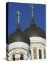 Domes of the Alexander Nevsky Cathedral, Russian Orthodox Church, Toompea Hill, Tallinn, Estonia-Neale Clarke-Stretched Canvas