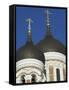 Domes of the Alexander Nevsky Cathedral, Russian Orthodox Church, Toompea Hill, Tallinn, Estonia-Neale Clarke-Framed Stretched Canvas