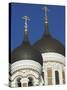 Domes of the Alexander Nevsky Cathedral, Russian Orthodox Church, Toompea Hill, Tallinn, Estonia-Neale Clarke-Stretched Canvas