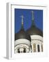 Domes of the Alexander Nevsky Cathedral, Russian Orthodox Church, Toompea Hill, Tallinn, Estonia-Neale Clarke-Framed Photographic Print