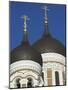 Domes of the Alexander Nevsky Cathedral, Russian Orthodox Church, Toompea Hill, Tallinn, Estonia-Neale Clarke-Mounted Photographic Print