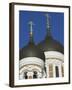 Domes of the Alexander Nevsky Cathedral, Russian Orthodox Church, Toompea Hill, Tallinn, Estonia-Neale Clarke-Framed Photographic Print