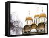 Domes of the Assumption Cathedral in Kremlin, Moscow, Russia-Nadia Isakova-Framed Stretched Canvas