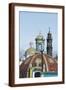 Brown Frame