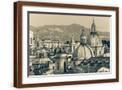 Brown Frame