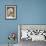 Domesti Dog, Afghan Hound Portrait-Adriano Bacchella-Framed Photographic Print displayed on a wall
