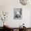 Domestic Altar, the Smiling Buddha, C1890-null-Giclee Print displayed on a wall