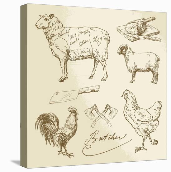 Domestic Animal Meat Diagrams - Hand Drawn Collection-canicula-Stretched Canvas