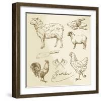 Domestic Animal Meat Diagrams - Hand Drawn Collection-canicula-Framed Art Print