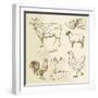 Domestic Animal Meat Diagrams - Hand Drawn Collection-canicula-Framed Art Print