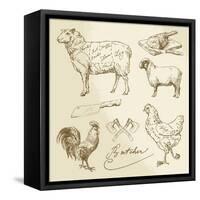 Domestic Animal Meat Diagrams - Hand Drawn Collection-canicula-Framed Stretched Canvas