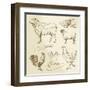 Domestic Animal Meat Diagrams - Hand Drawn Collection-canicula-Framed Art Print