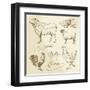 Domestic Animal Meat Diagrams - Hand Drawn Collection-canicula-Framed Art Print