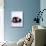 Domestic Cat, 1-Day Kittens Black-And-White and Ginger-Jane Burton-Mounted Photographic Print displayed on a wall