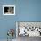 Domestic Cat, 1-Month, Burmese Kitten with His Blue Mother-Jane Burton-Framed Photographic Print displayed on a wall