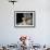 Domestic Cat, 1-Month, Burmese Kitten with His Blue Mother-Jane Burton-Framed Photographic Print displayed on a wall