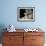 Domestic Cat, 1-Month, Burmese Kitten with His Blue Mother-Jane Burton-Framed Photographic Print displayed on a wall