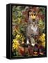 Domestic Cat, 12-Week, Agouti Tabby Kitten Among Yellow Azaleas and Spring Foliage-Jane Burton-Framed Stretched Canvas