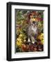 Domestic Cat, 12-Week, Agouti Tabby Kitten Among Yellow Azaleas and Spring Foliage-Jane Burton-Framed Premium Photographic Print