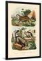 Domestic Cat, 1833-39-null-Framed Giclee Print