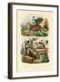 Domestic Cat, 1833-39-null-Framed Giclee Print