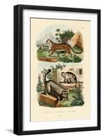 Domestic Cat, 1833-39-null-Framed Giclee Print