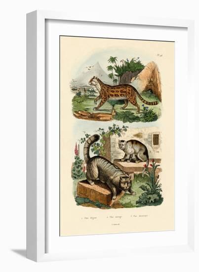 Domestic Cat, 1833-39-null-Framed Giclee Print