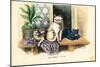 Domestic Cat, 1863-79-Raimundo Petraroja-Mounted Giclee Print