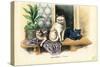 Domestic Cat, 1863-79-Raimundo Petraroja-Stretched Canvas