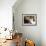 Domestic Cat, 2-Week Tabby and White Kitten Plays with Her Mother's Whiskers in Basket-Jane Burton-Framed Photographic Print displayed on a wall