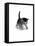 Domestic Cat, 3-Week Ticked-Tabby Kitten-Jane Burton-Framed Stretched Canvas