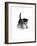 Domestic Cat, 3-Week Ticked-Tabby Kitten-Jane Burton-Framed Photographic Print